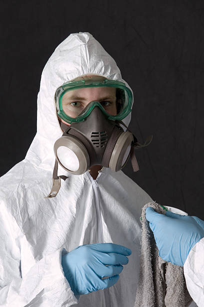 Best Biohazard Mold Removal  in Dawson Springs, KY